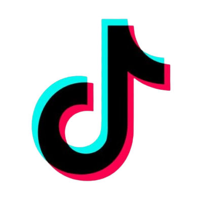 TikTok Icon